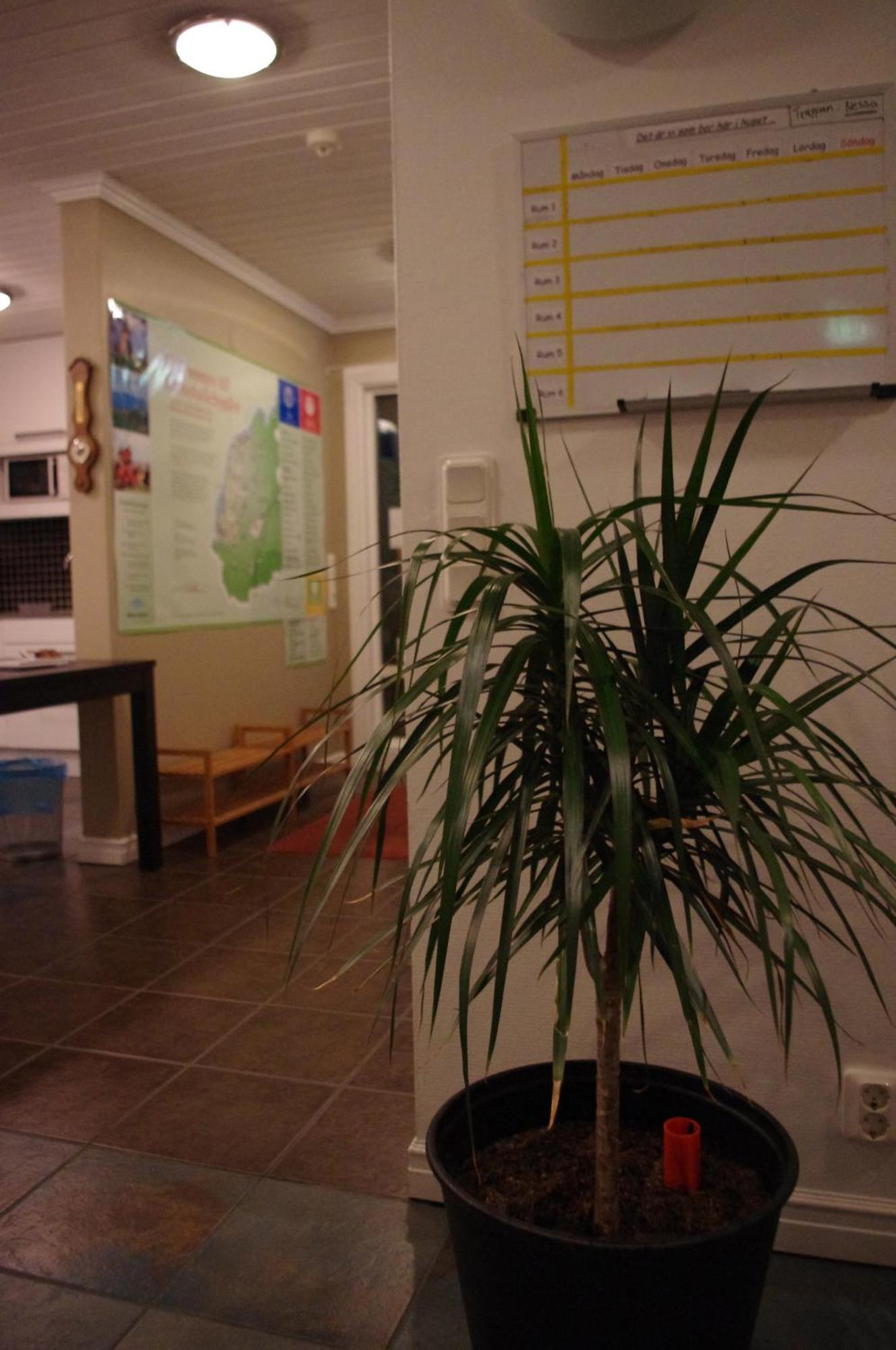 Aeventyrsgardens Vandrarhem, Kinnekulle Källby Екстериор снимка